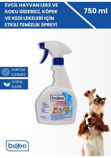 Evcil Hayvan Leke ve Koku Giderici, Köpek ve Kedi Lekeleri İçin Etkili Temizlik Spreyi 750 ml