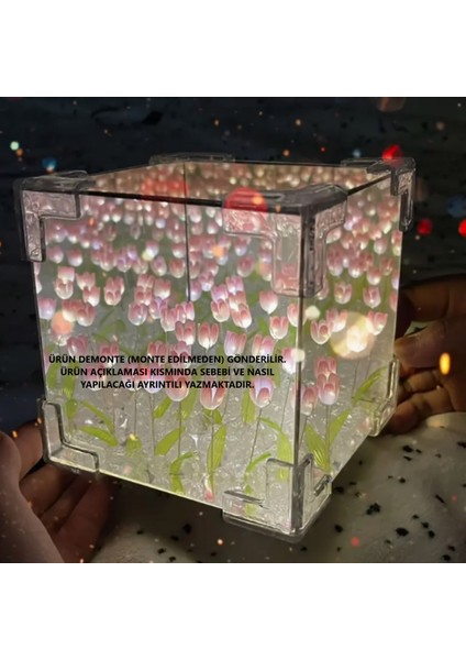 Pembe Sonsuz Lale Gece Lambası 10X10, Şık ve Dekoratif Aydınlatma Seçeneği