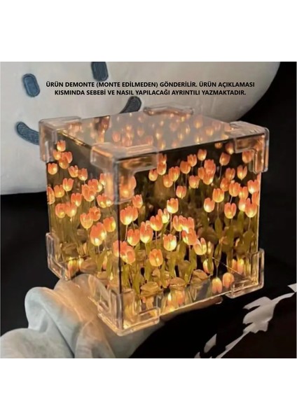 Pembe Sonsuz Lale Gece Lambası 10X10, Şık ve Dekoratif Aydınlatma Seçeneği fiyatları