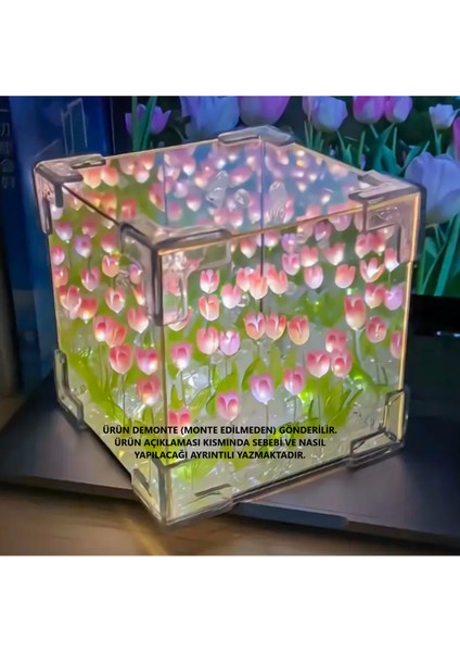 Pembe Sonsuz Lale Gece Lambası 10X10, Şık ve Dekoratif Aydınlatma Seçeneği fırsatları