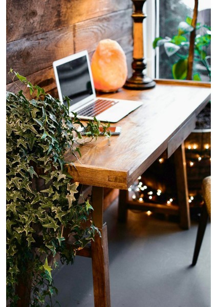 Doğal Kaya Tuzu Lambası 2-3 Kg, Kablo ve Ampul Ile, Ortamınıza Sıcaklık Katın modelleri