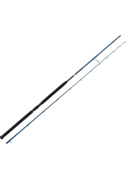 Pıa 2,90MT 30-70 gr Shore Jıggıng Olta Kamışı