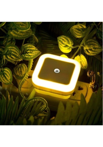 Karanlık Sensörlü Gece Lambası, Sarı, Kahverengi, Pratik ve Şık Tasarım