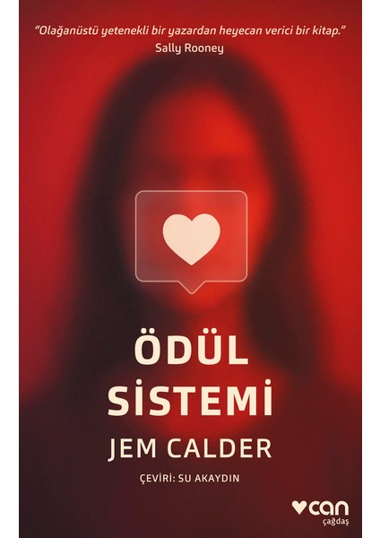 Ödül Sistemi