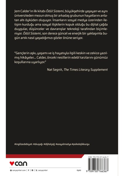 Ödül Sistemi modelleri