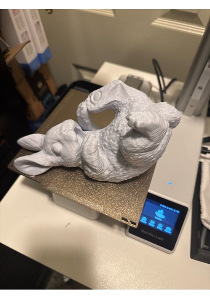 Sevimli Tavşan Tasarımlı Şarap Tutucu, Şık ve Fonksiyonel Dekoratif Aksesuar fırsatları