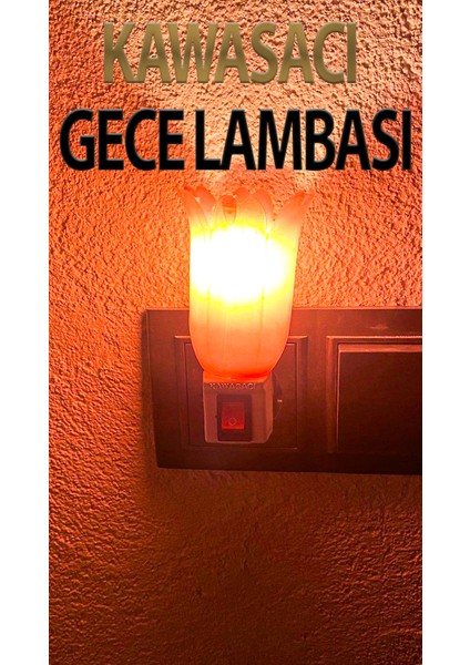 Pembe Gece Lambası, Fişli ve Anahtarlı, 7 Watt Ampullü, Şık ve Kullanışlı Tasarım