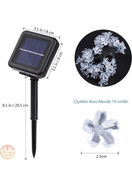 20 Ledli Güneş Enerjili Çiçekli Bahçe Aydınlatması, Dekoratif Gün Işığı Seti modelleri