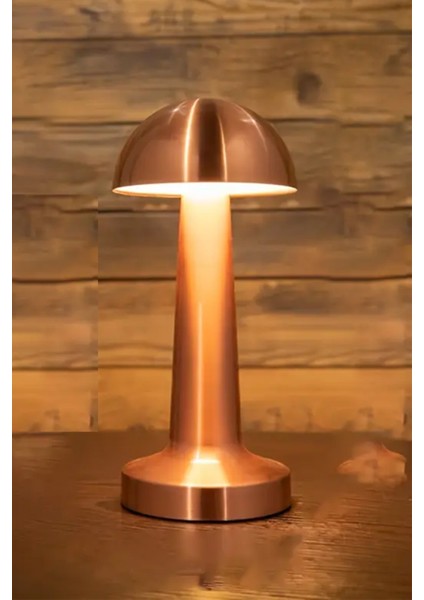 Pembe Retro Mantar Masa Lambası, Bakır Detaylı, Dimmerli, Şarjlı, Dekoratif ve Dokunmatik modelleri