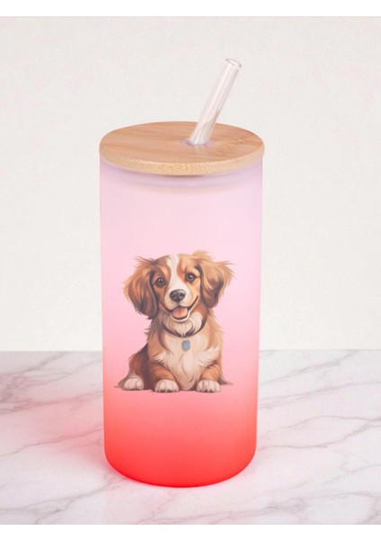 Sevimli Köpek Baskılı 600 ml Cam Matara- Su Matarası, Suluk Matara, Cam Pipetli Matara