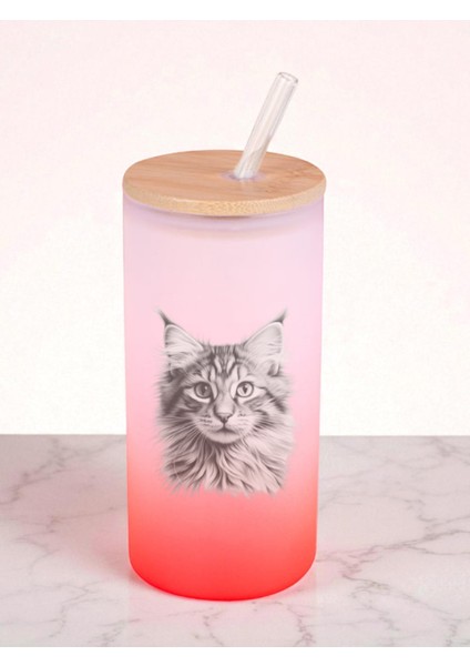 Karakalem Kedi Baskılı 600 ml Cam Matara- Su Matarası, Suluk Matara, Cam Pipetli Matara