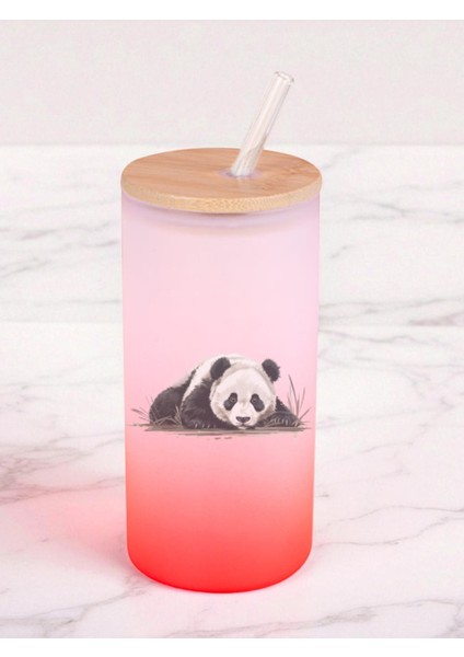 Yerde Panda Baskılı 600 ml Cam Matara- Su Matarası, Suluk Matara, Cam Pipetli Matara