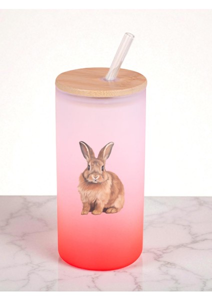 Tavşan Baskılı 600 ml Cam Matara- Su Matarası, Suluk Matara, Cam Pipetli Matara