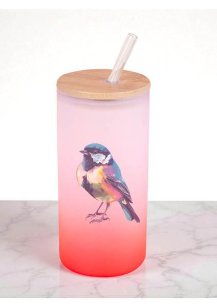 Modern Kuş Baskılı 600 ml Cam Matara- Su Matarası, Suluk Matara, Cam Pipetli Matara