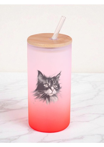 Siyah Kedi Baskılı 600 ml Cam Matara- Su Matarası, Suluk Matara, Cam Pipetli Matara