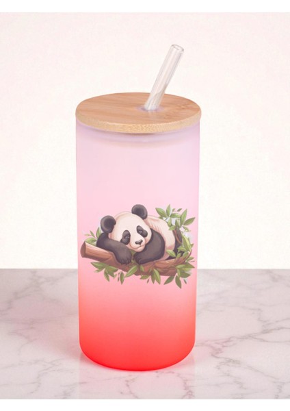 Dalda Panda Baskılı 600 ml Cam Matara- Su Matarası, Suluk Matara, Cam Pipetli Matara