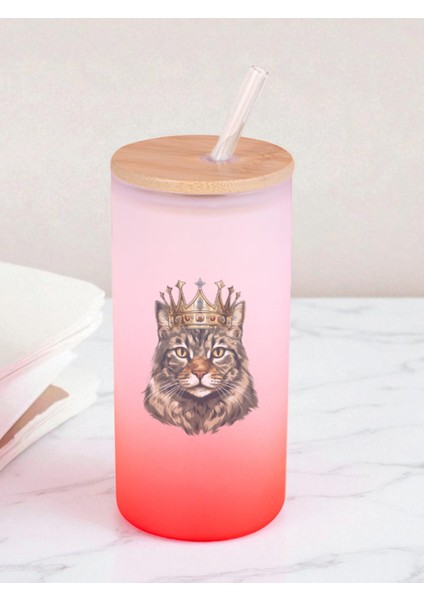 Kral Kedi Baskılı 600 ml Cam Matara- Su Matarası, Suluk Matara, Cam Pipetli Matara