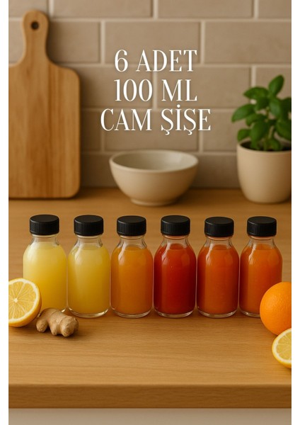 6 Adet 100 ml Kilitli Siyah Kapaklı Şeffaf Detox Shot Şişesi 100 cc Ginger Şat Beyaz Cam Şişe fiyatları