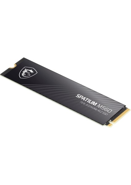 Msı Spatıum M560 Pcıe 5.0 Nvme M.2 1tb modelleri