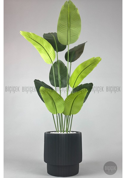 Yapay Muz Ağacı 160-185 cm Vega Saksı