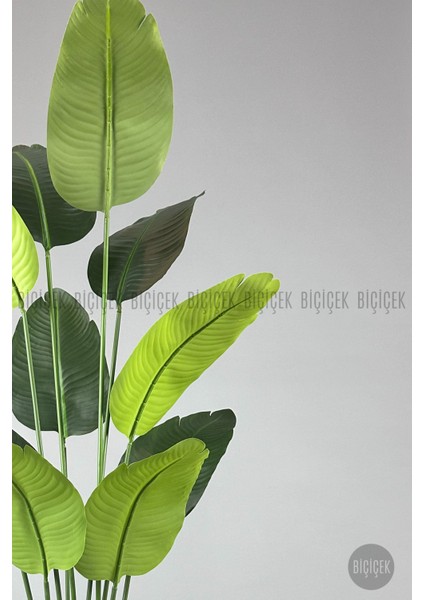 Yapay Muz Ağacı 160-185 cm Vega Saksı modelleri