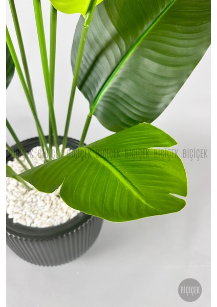 Yapay Muz Ağacı 160-185 cm Vega Saksı fırsatları