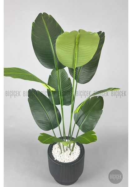 Yapay Muz Ağacı 160-185 cm Vega Saksı