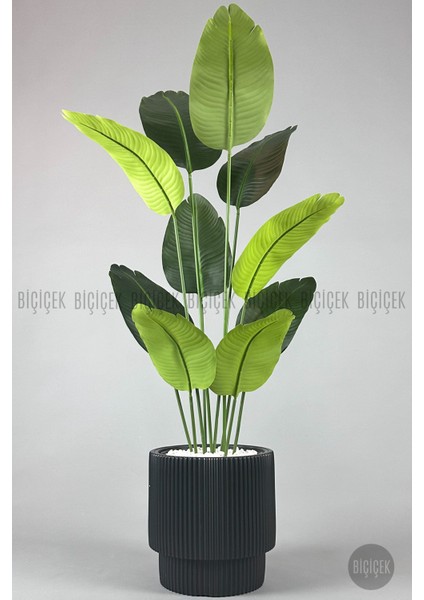 Yapay Muz Ağacı 160-185 cm Vega Saksı