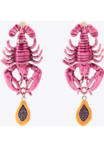 Akrep Küpe fiyatları