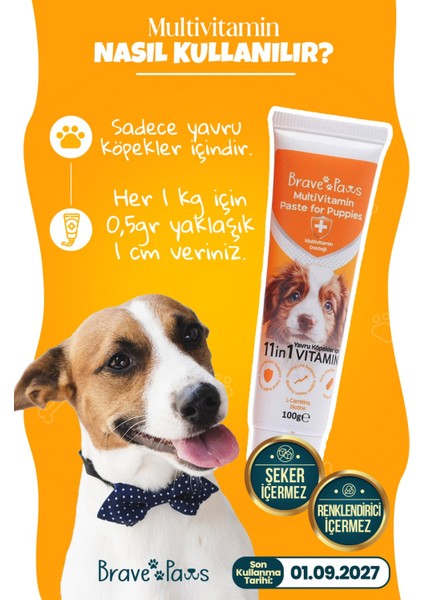 Yavru Köpekler Için Gelişim Destekleyici Multivitamin – Sağlıklı Büyüme Formülü