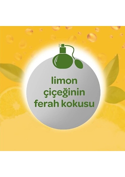 Dalin Sprey Bebek Kolonyası Limon Çiçeği 150 ml fırsatları