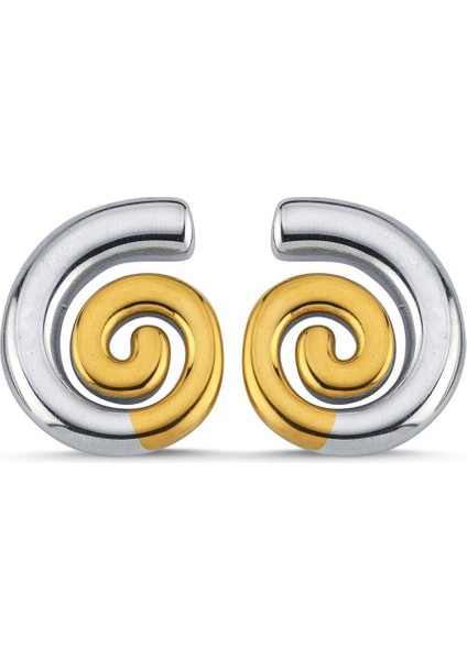 Çelik Mix Salyangoz Küpe