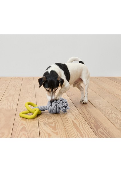 Köpek Oyuncağı, Halat Halka