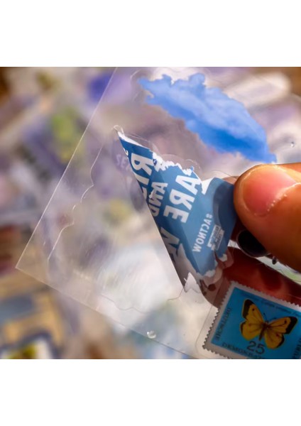 Retro Vintage Scrapbooking Sticker Seti 100 Adet Çiçekli Dekoratif Albüm ve Günlük Süsleme Malzemesi Kutulu indirimleri