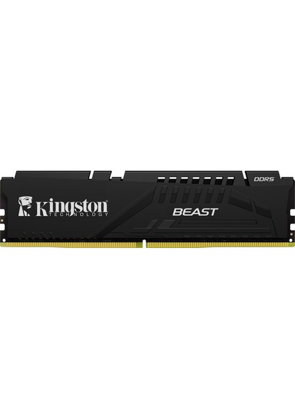 16GB Ddr5 5600MHZ CL36 Dımm KF556C36BBEK2-16TR Kıngston Beast Soğutuculu