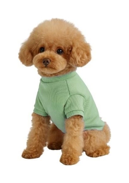 Mint Küçük Irk Köpek Likralı Triko