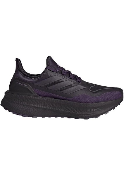 Kadın Mor Koşu Ayakkabısı Ultraboost 5 Gtx W JQ2955