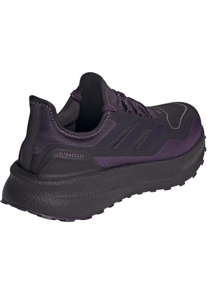 Kadın Mor Koşu Ayakkabısı Ultraboost 5 Gtx W JQ2955