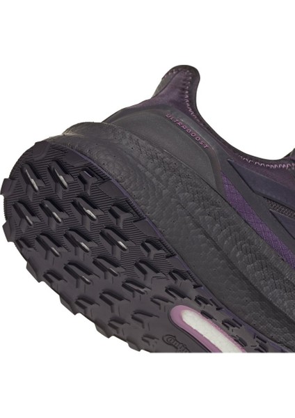 Kadın Mor Koşu Ayakkabısı Ultraboost 5 Gtx W JQ2955