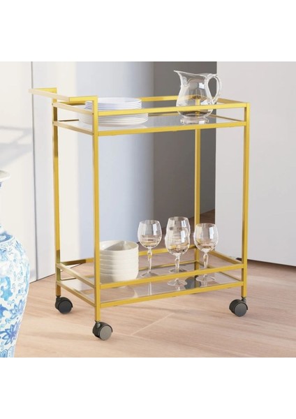 Şeffaf ve Şık Metal Sunum Arabası, Zarif ve Kullanışlı Tasarım ile Hizmette Şıklık