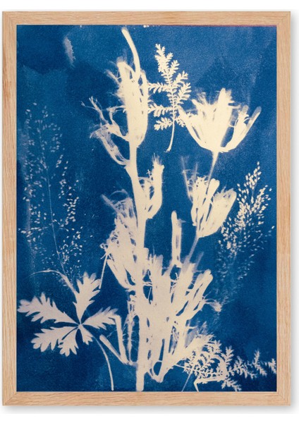Blue Botanical Shadows - Doğal Ahşap Çerçeveli Tablo - İllüstrasyon Poster - Curated By Push indirimleri