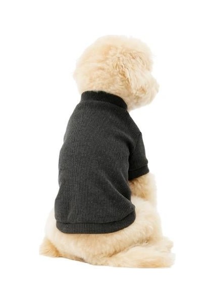 Antrasit Küçük Irk Köpek Likralı Triko