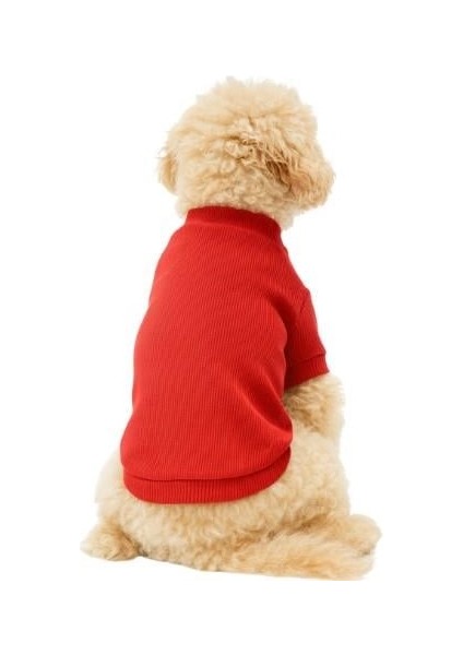 Nar Çiçeği Küçük Irk Köpek Likralı Triko