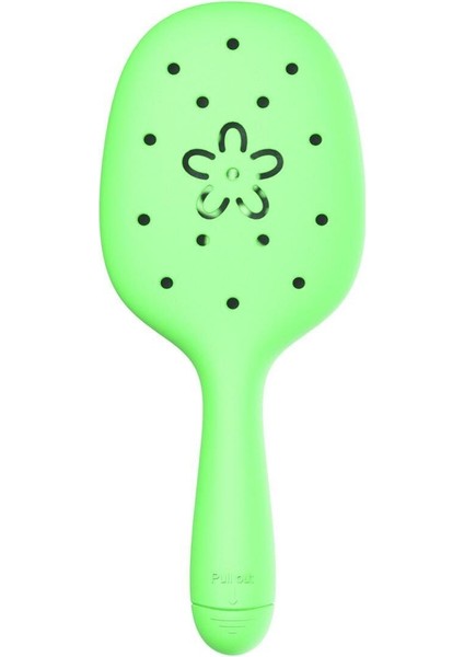 Nascita Twistlo Saç Fırçası Yeşil fırsatları