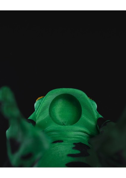 Çizgili Kurbağa Figürlü Şarap Tutacağı, Şık ve Dekoratif Tasarım fiyatları