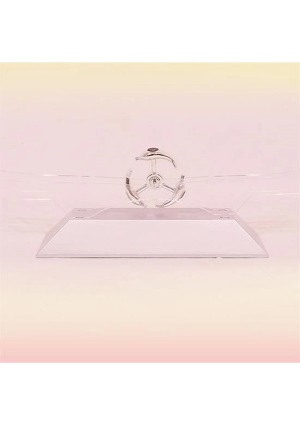 Dekoratif Masa Üstü Obje Manyetik Kinetik Orbital Dönen Yunuslar