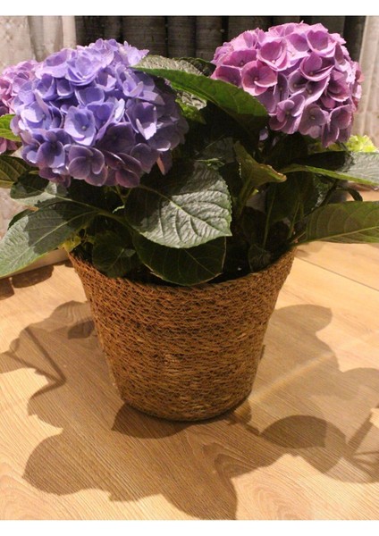 Iç Korumalı Geniş Ağızlı Hasır Saksılık & Düzenleyici Geniş Boy