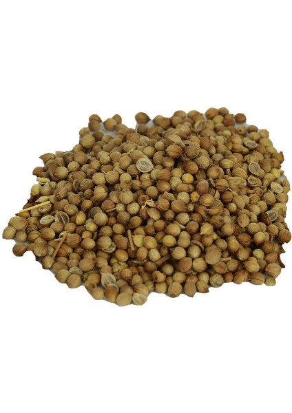 Kişniş Doğal Tane 100 gr Paket