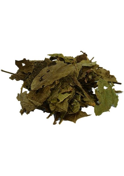 Ceviz Yaprağı Doğal 100 gr Paket