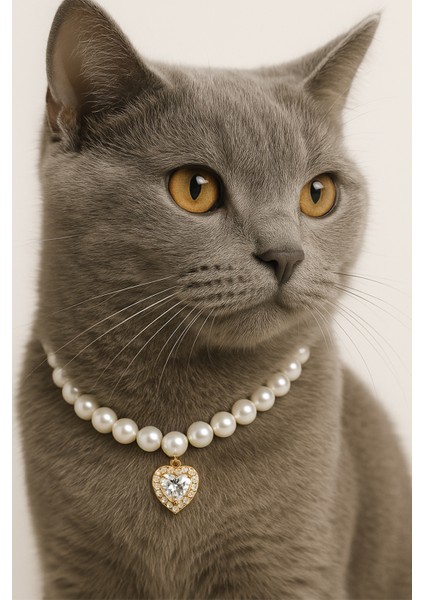 Kalpli Kedi Kolyesi, Kedi Boyunluğu, Kedi Hediyesi ,köpek Künyesi, Kedi Künyesi ,kedi Oyuncağı ,xtaki